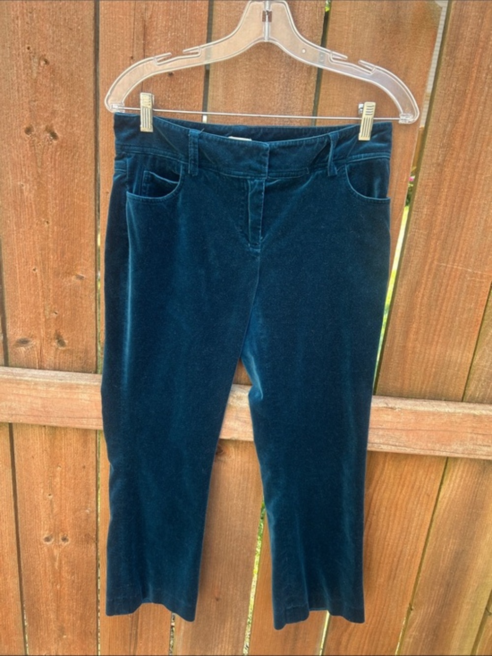 Cache Velvet Teal Bootcut Velour Pants Sz 4